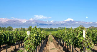 Things to do in Mendoza, Argentina | Wine Tours, Attractions & Time to Go