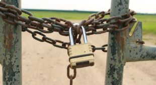 The Role of Gatekeepers in the Digital Economy: Understanding the Impact of the Digital Markets Act