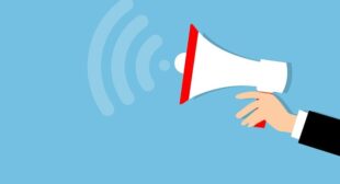 How the Digital Services Act is Changing Content Moderation and Free Speech