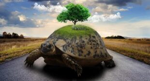 The Art of Slow Travel: Why Taking Your Time Leads to Deeper Cultural Appreciation