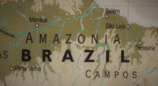 Amazon Rainforest: The Lungs of the Earth