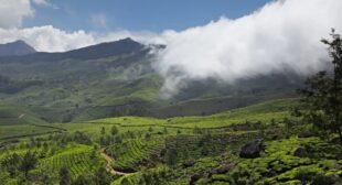 Kerala: God’s Own Country
