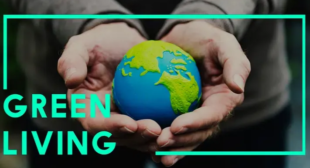 Sustainable Living: Simple Changes for a Greener Home