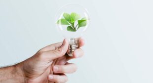 Traveling Sustainably: Tips for Eco-Friendly Adventures