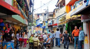 Medellín, Colombia—the ‘city of eternal spring’—blooms in 2026