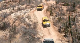 Tour Guide: Baja Sur Outback