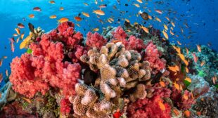 How Fiji has become a sustainable island paradise in the South Pacific