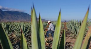 Why Oaxaca’s coast is Mexico’s next breakout region