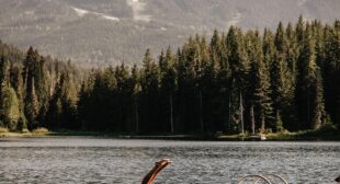 What to do in Whistler this summer