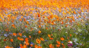 6 South African natural wonders you must see