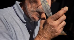 The strange story of casu marzu, Sardinia’s famous maggot cheese