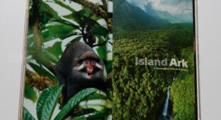 The island where rare primates are vanishing