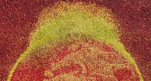 10 European food festivals you won’t want to miss this summer