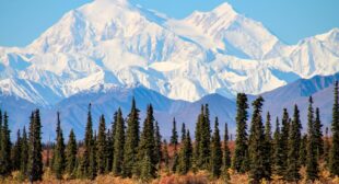Everything you should know about Denali National Park and Preserve