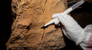 The debate over who made the earliest cave art is heating up