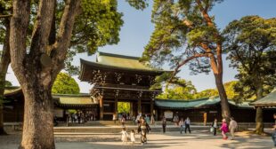 Read This Before Your Next Trip to Tokyo