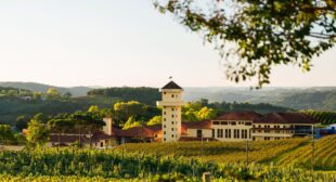 Brazilian wines are having a moment—here’s why
